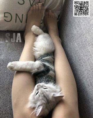 欧美ⅴa高清在线观_高清版完整版未删减